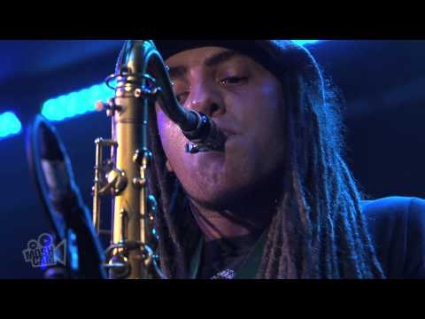 True Vibenation - Classic Horns Medley   (Live in Sydney) | Moshcam