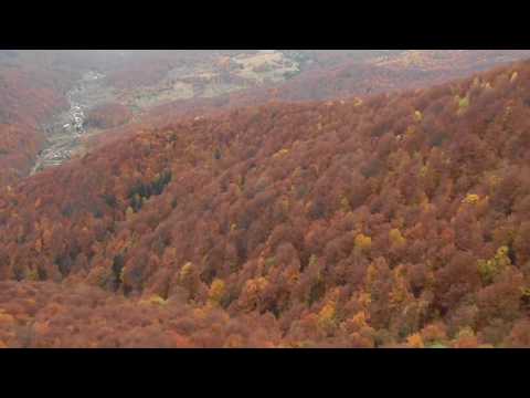 Borz kő/Piatra Bulzului