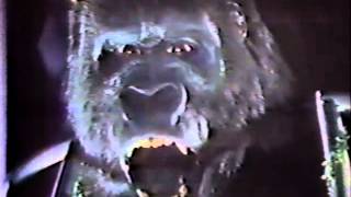 King Kong (1976) Video