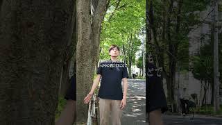 【地域イベントやボランティアの情報発信】 #参政党 #松戸