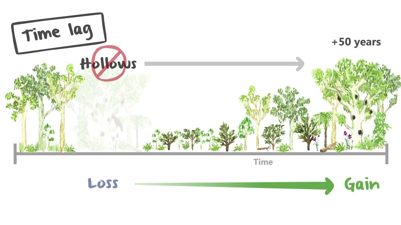 V5. Uncertainty, time lags and multipliers