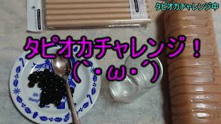 お姉ちゃんがタピオカチャレンジに挑んだらしい？