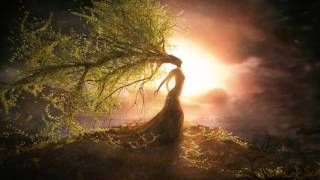 Klaus Schulze - Wagner (Wild Mix)