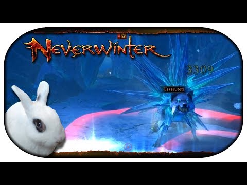 NEVERWINTER: Paladin-LP 🐇 49 - Der Eishund in Tundravoll