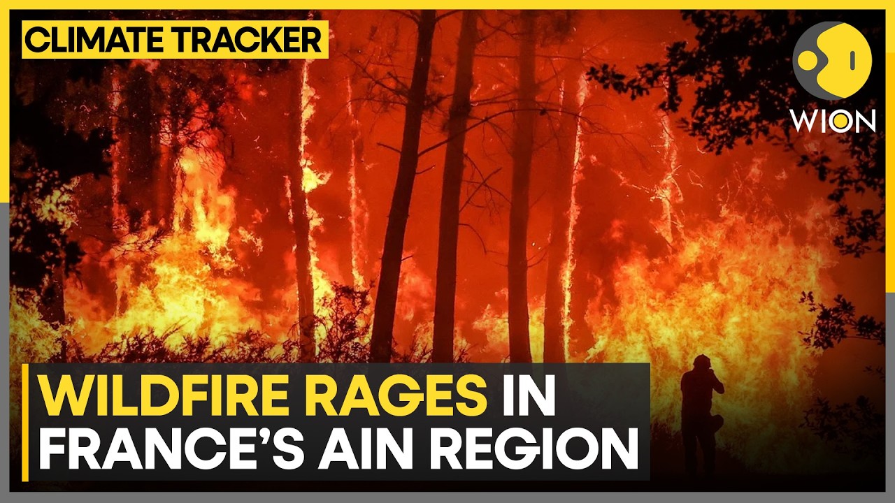 Firefighters Battle Wildfires In France's Ain | WION Climate Tracker