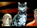 Cats love commercials