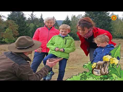Löwenzahn-Entdeckerpfad und Natur-Erlebniszentrum HohneHof - Fotoimpressionen