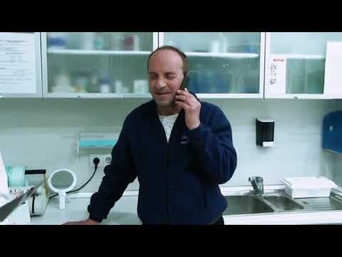 Ue Ue Show - The Best Videos