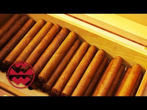 Das Medikament für die Behandlung der Schuppenflechte Die Behandlung der Schuppenflechte von den Schnecken