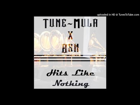 T~M. Tune Mula - Hits Like Nothin Featuring. BSNYEA