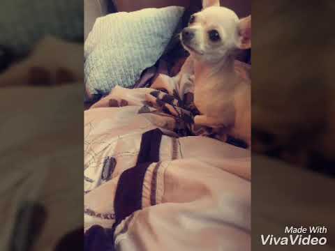 TEXAS PLACE | Galin Adnan Beats I Desita