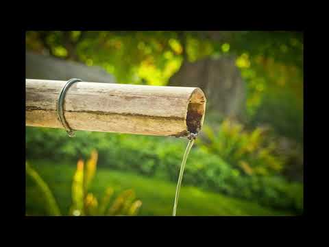 Biały szum wody i bambusa uśpi twoje dziecko w 3 minuty , 8 godzin bez reklam w środku | DR JENNY