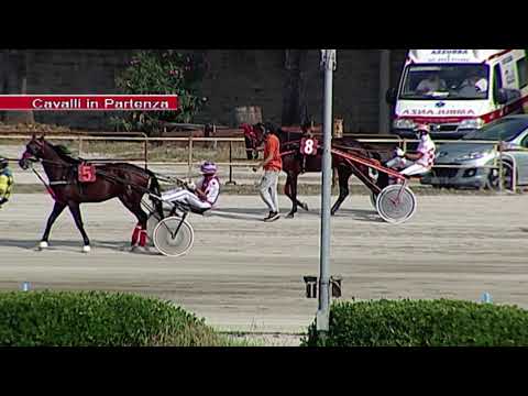 Aversa trotto 16 Settembre 2020 - 2° Corsa