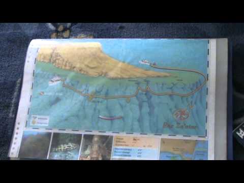 Брифинг перед погружением. Ras Zaatar.  Шарм-эль-Шейх, декабрь 2010