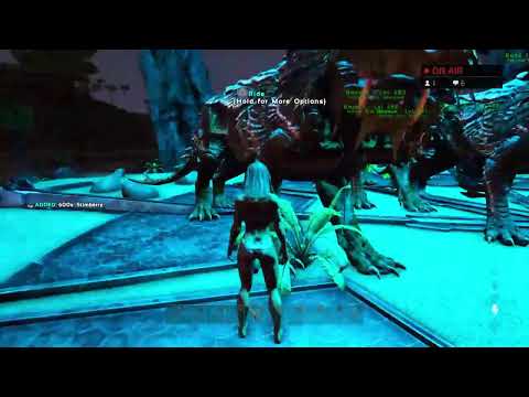 Xbeast_monsterz  we zijn geraid     dag 31 van de grind