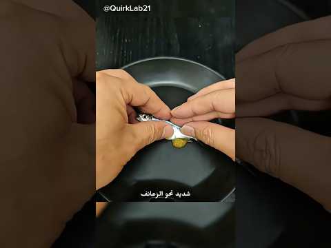 شاهد عملية إخصاب الأسماك تحت المجهر! 🐟🔬