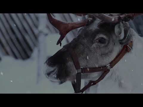 download lagu mp3 mp4 Merry Christmas Everyone The Classics Instrumentals, download mp3 Merry Christmas Everyone The Classics Instrumentals free download mp3, download mp3 Merry Christmas Everyone The Classics Instrumentals