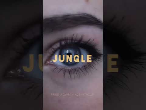 Fred Again - Jungle (Adriatique Remix) (Official Visualiser)