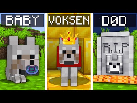 Vi Lever Et Helt Liv Som ULV I Minecraft!
