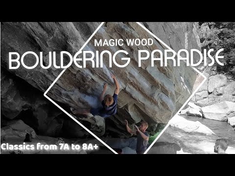 BOULDERING IN MAGIC WOOD: Classics from 7A to 8A+