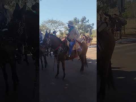 cavalgada de centralina mg parte 2