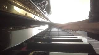 Max Richter - a lamenting song