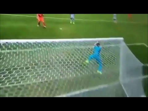Xherdan Shaqiri Incredible Goal vs Honduras