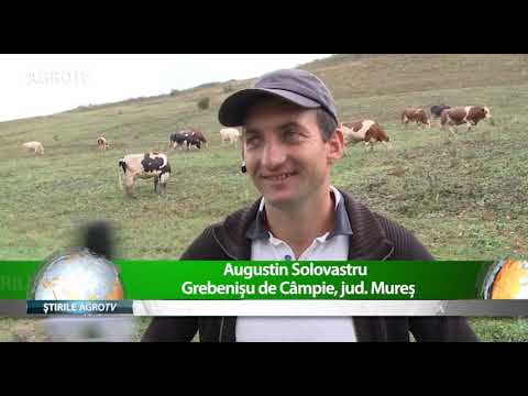 concurs adopta un tanar fermier 7