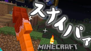 【マイクラ】スナイパー対決で事故多発【手抜き】