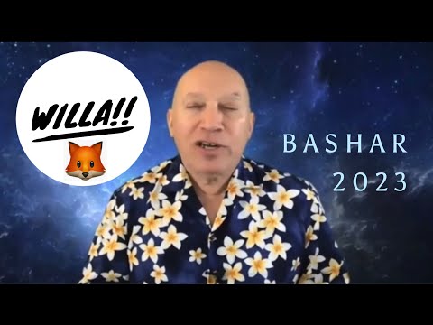 Update from Willa 🦊 - Bashar