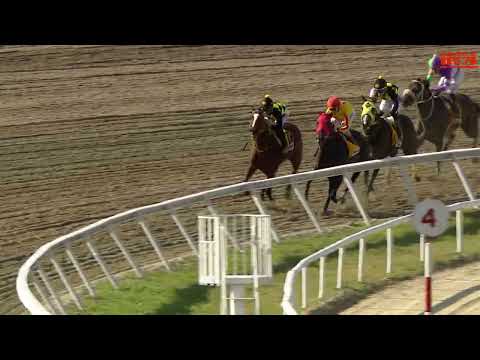 C474 | IV “Caribbean Brotherhood” Cup (Females) | Tequila | La Rinconada Racetrack | R47 | 2024