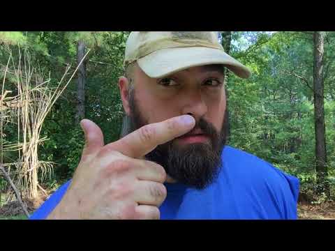 Genesis 10, 11, 12 and 13; No Roots, No Fruit.