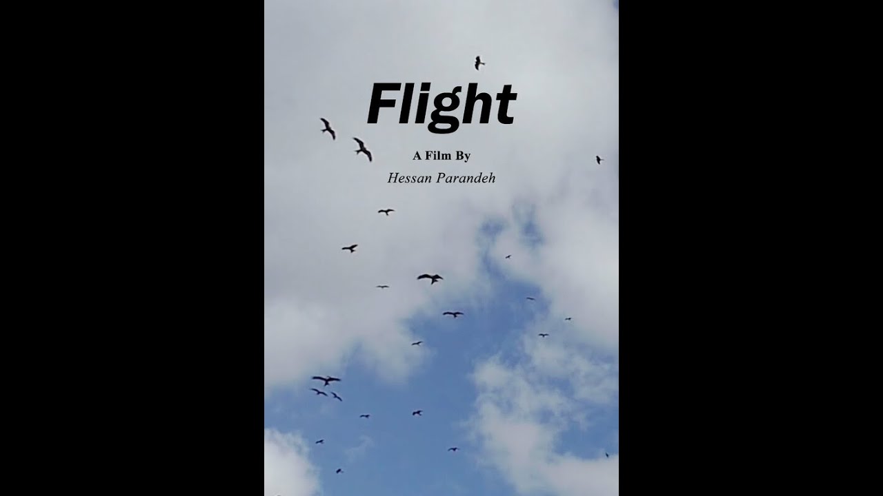 FLIGHT