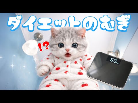 社畜ねこのむぎ」のYahoo!リアルタイム検索 - X（旧Twitter）を