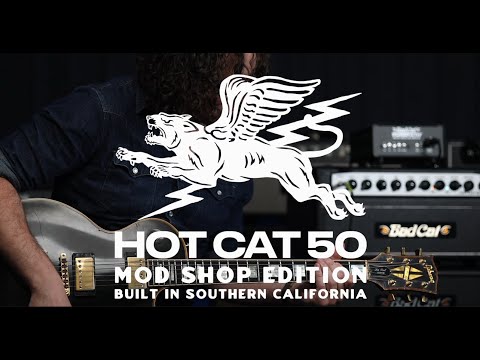 Bad Cat Mod Shop Hot Cat 50 2-Channel 50-Watt Guitar Amp Head 2026 - Present - Black image 5