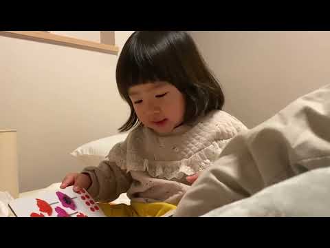 こども学科 【成長記録】夜の読書 2歳2ヶ月
