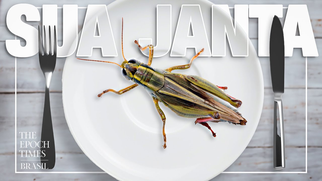 A mentira destruindo o sistema alimentar