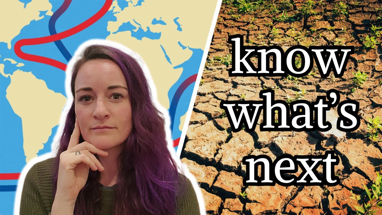 Seven ways the world is already collapsing