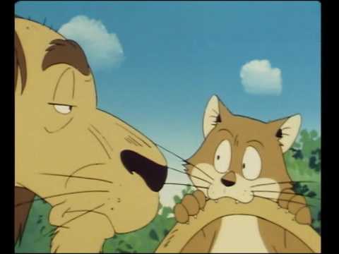 Als je oplet leer je wat - Boes