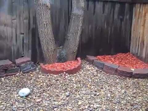 FOR RENT: Convenient 2 bedroom, 1 1/2 bathroom 2 story townhome in Wheat Ridge!