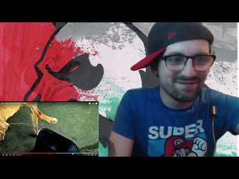 Korn - Word Up! (Official Video) Reaction