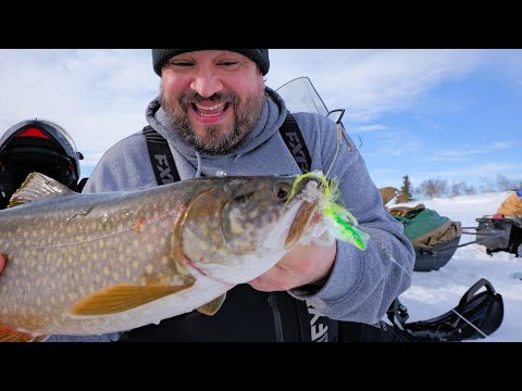 Chasing lake trout  (ice fishing with Randy)
