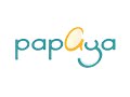 Papaya Studio 2006 2011 Original Version Logo Remake