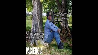 06 Que Me Toquen Las Golondrinas - Valentín Elizalde - Alejandro Martínez (Cover)