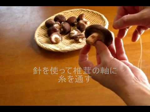 download lagu mp3 mp4 How To Dry Shiitake Mushrooms, download lagu How To Dry Shiitake Mushrooms gratis, unduh video klip How To Dry Shiitake Mushrooms