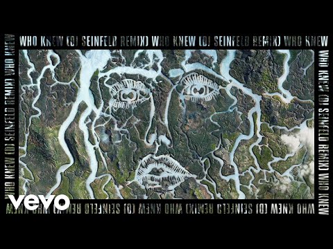 Disclosure, Mick Jenkins - Who Knew? (DJ Seinfeld Remix / Audio)