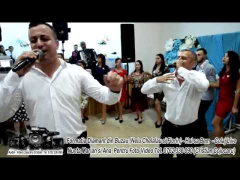 Formatia Diamant Din Buzau & Nelu Chelalau & Florin – Hai sa bem Video