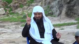 صورة كن متفائلًا؛ حتى مع وجود كورونا وانتشاره. د. عماد السواعير