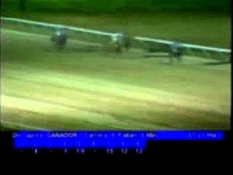 Resumen Viernes, 10 de Febrero de 2012 - Valencia