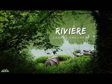 Pêche Spot sauvage de Rivière et ses belles Carpes